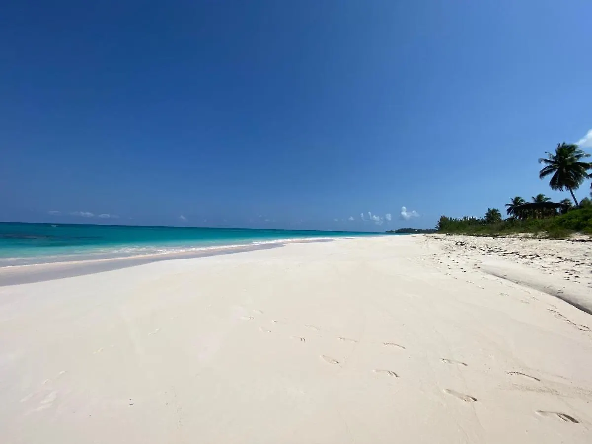 招待所 Eleuthera Retreat - Private Villa & Cottages On Pink Sand Beachfront Palmetto Point